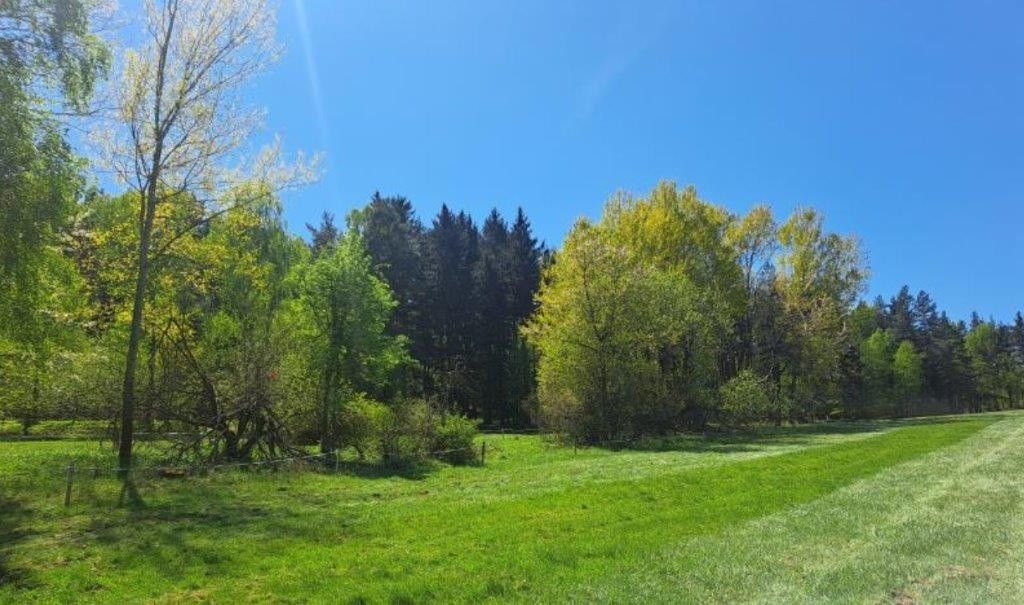 Pozemky pro bydlení, Křižany, 463 53