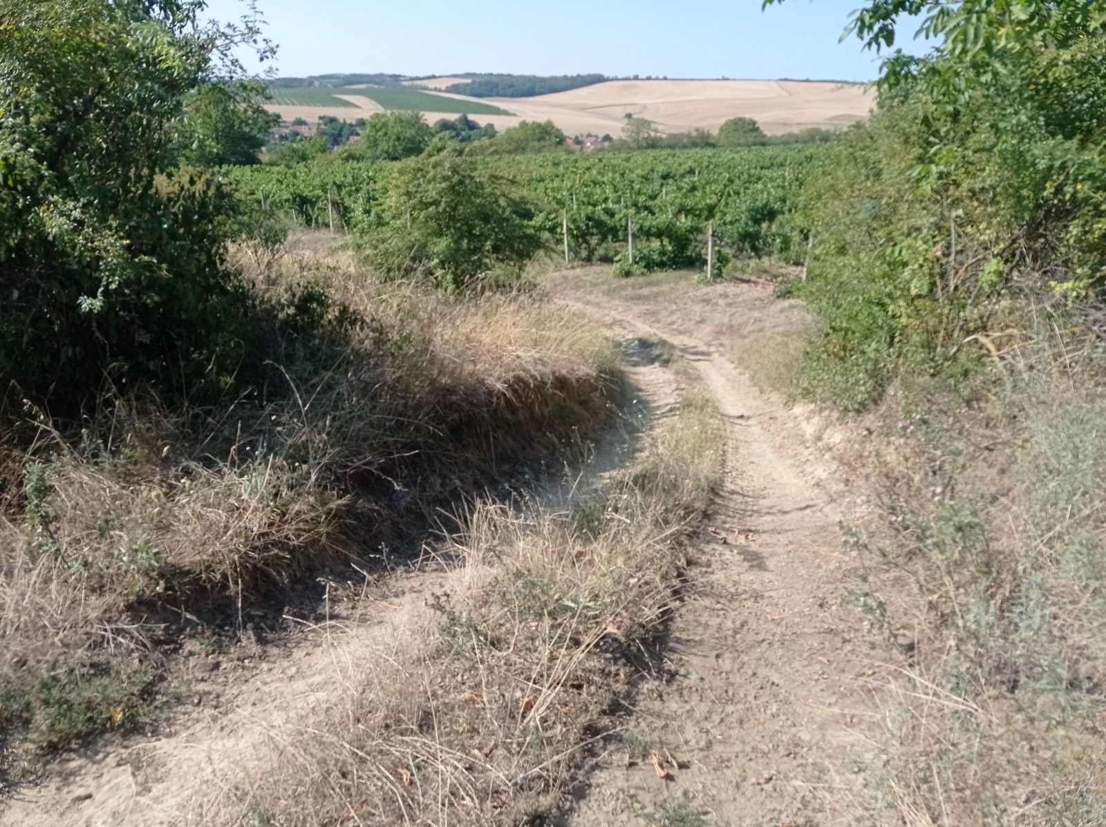 Prodej pozemek - Úvaly, Valtice, 3 m²