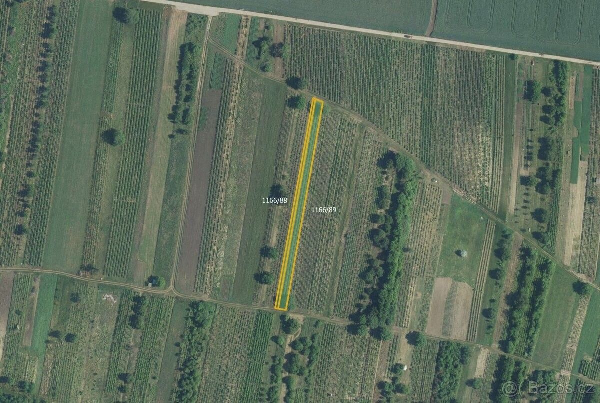 Pozemky pro bydlení, Brumovice na Moravě, 691 11