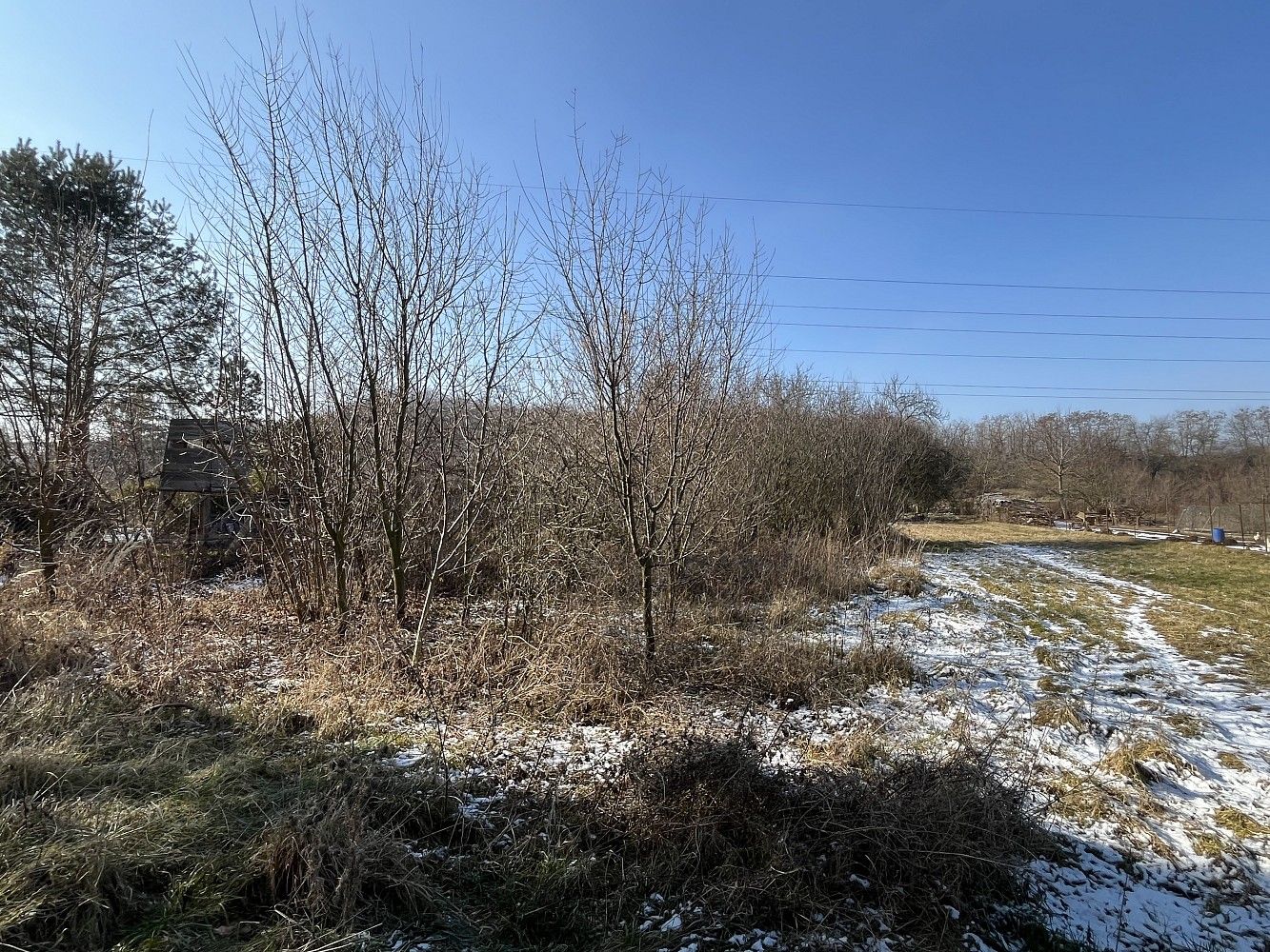 Zahrada · Hradčany-Kobeřice, okres Prostějov, Olomoucký kraj - 4