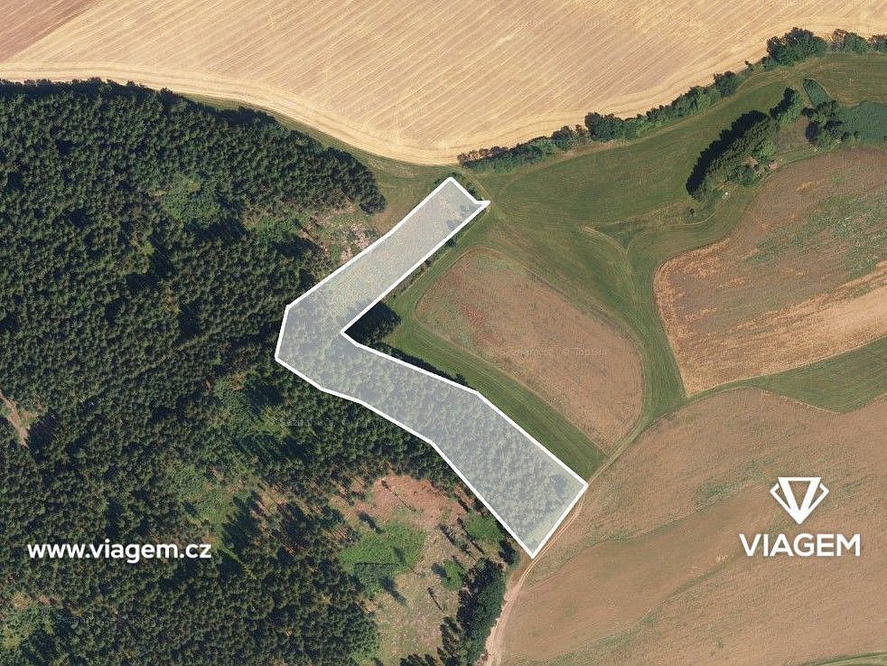 Prodej les - Mříčná, okres Semily, Liberecký kraj - 2