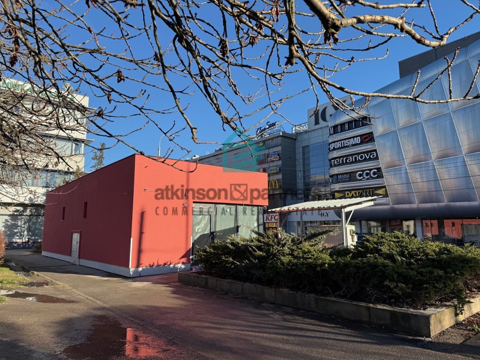 Pronájem obchodní prostory - Pražská tř., České Budějovice, 88 m²