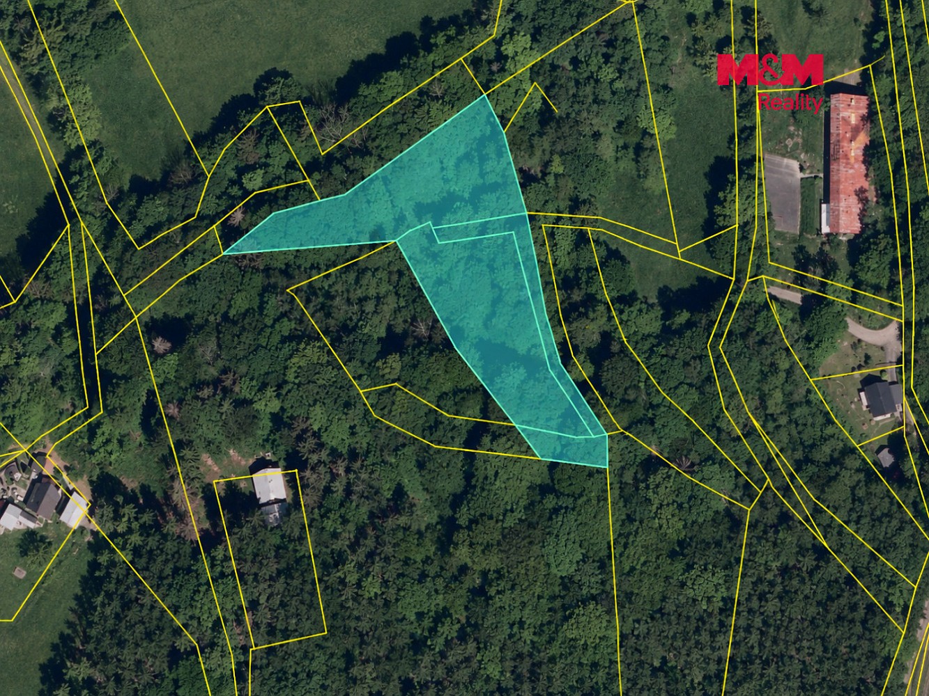 Les · Rusava, okres Kroměříž - 4