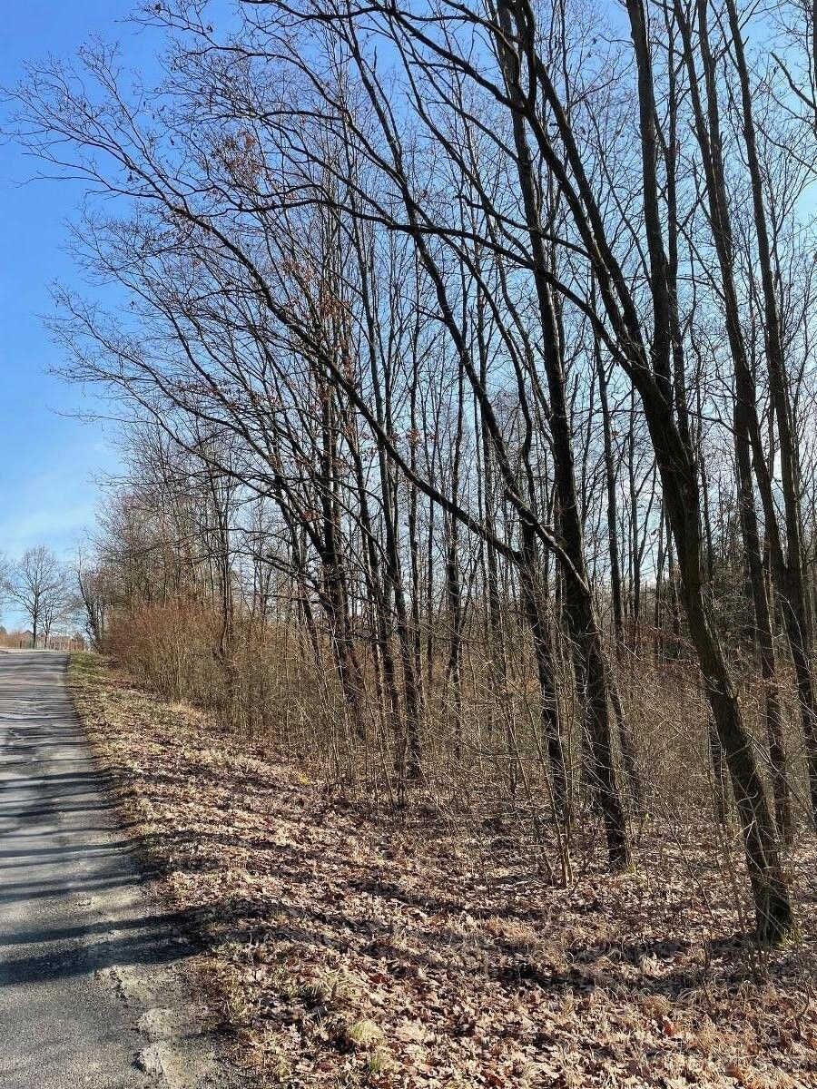 Prodej pozemek pro bydlení - Holice v Čechách, 534 01