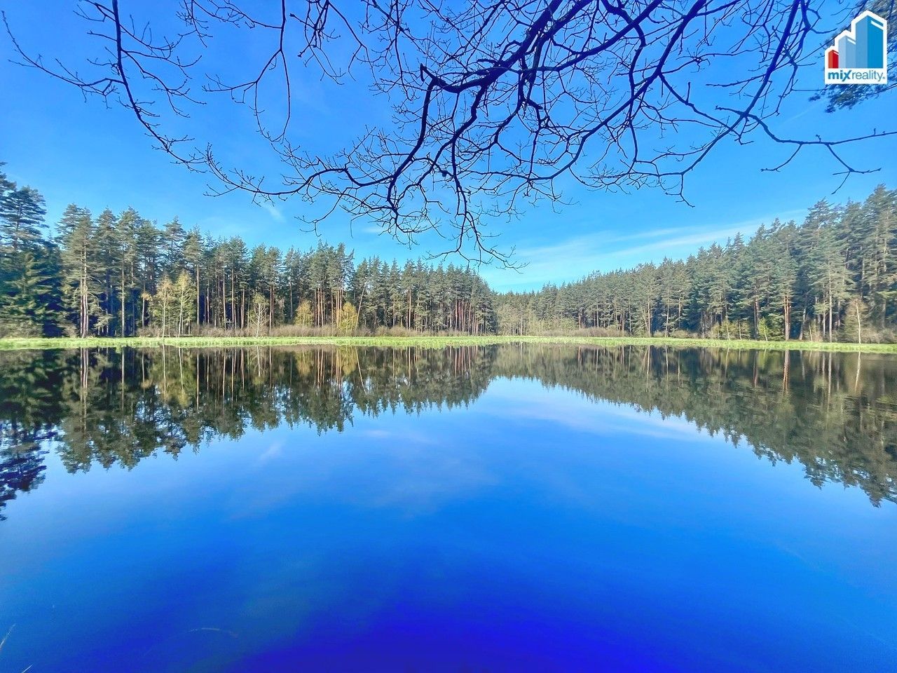 Prodej rybník - Trstěnice, 16 m²