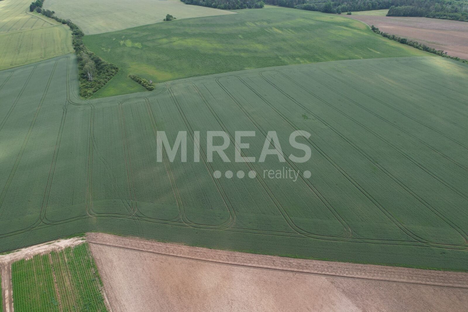 Prodej zemědělský pozemek - Jiřice, 23 m²