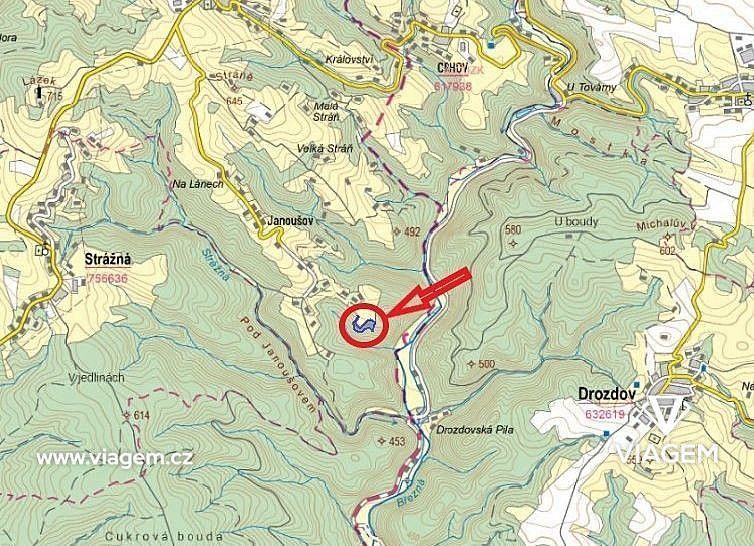 Les · Cotkytle, okres Ústí nad Orlicí, Pardubický kraj - 3