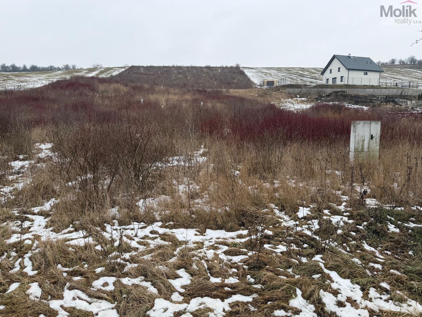 Prodej pozemek pro bydlení - Korozluky, 10 167 m²