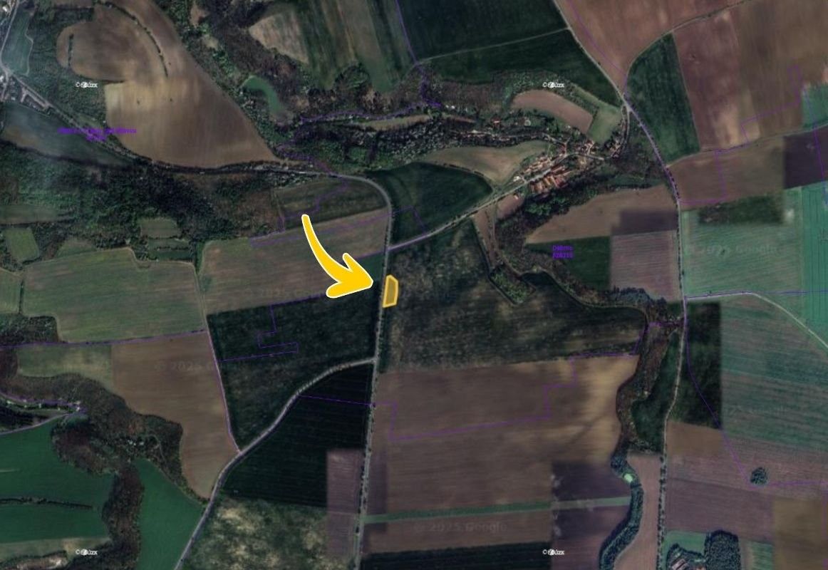 Prodej zemědělský pozemek - Dolany nad Vltavou, 3 200 m²