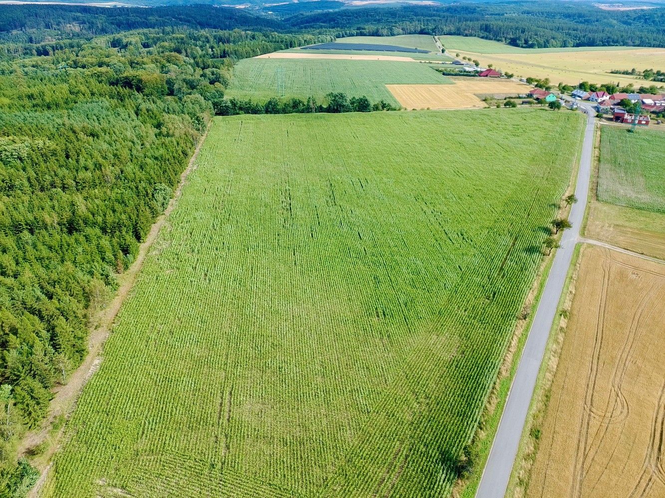 Pozemek pro bydlení · Litostrov, okres Brno-venkov, Jihomoravský kraj - 4