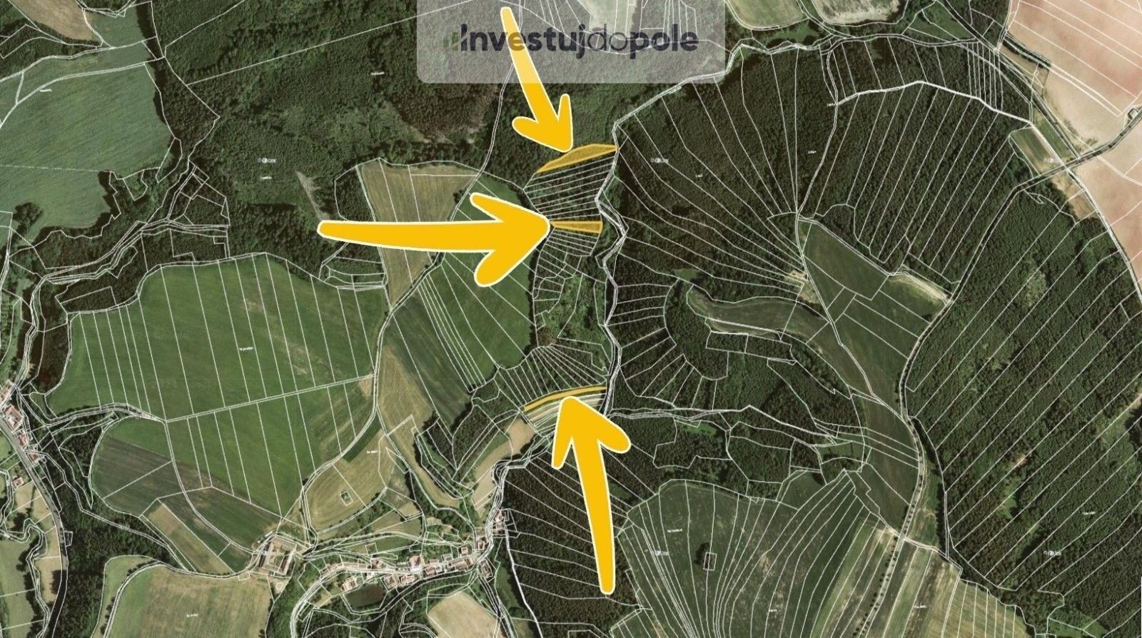 Lesy, Letovice, 4 290 m² - 2