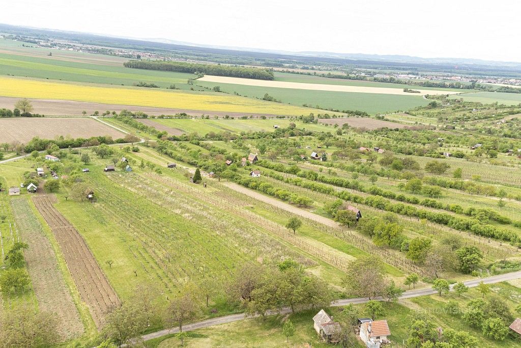 Pozemek · Radějov - Bdeněves - 4