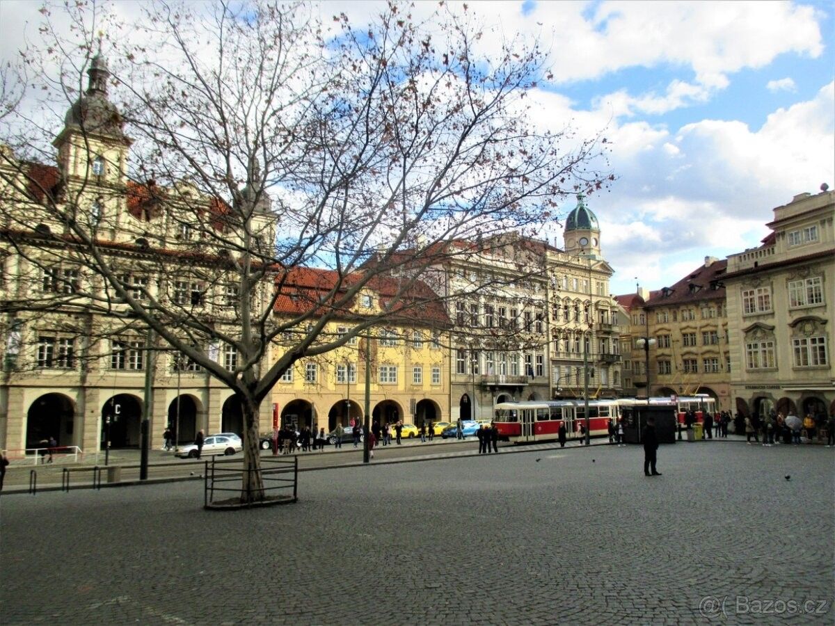 Obchodní prostory, Praha, 110 00