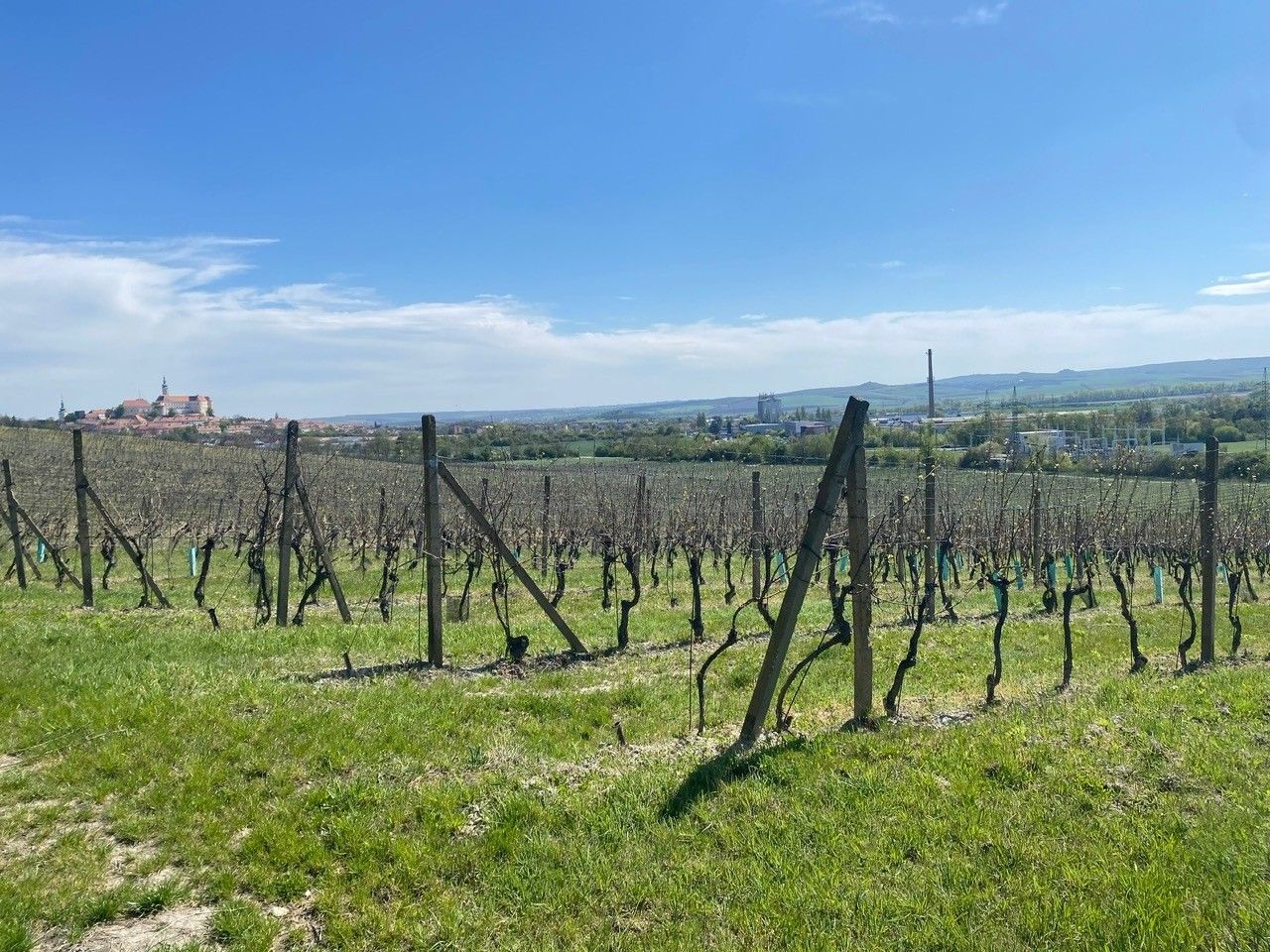 Prodej pozemek - Nová 1, Mikulov, 4 809 m² - 5