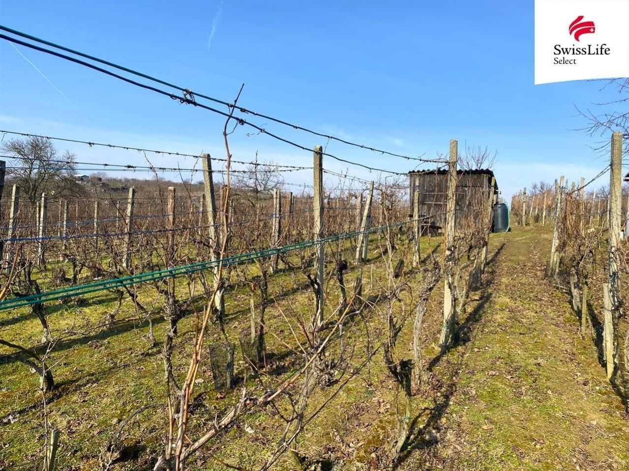 Komerční pozemky, Bzenec