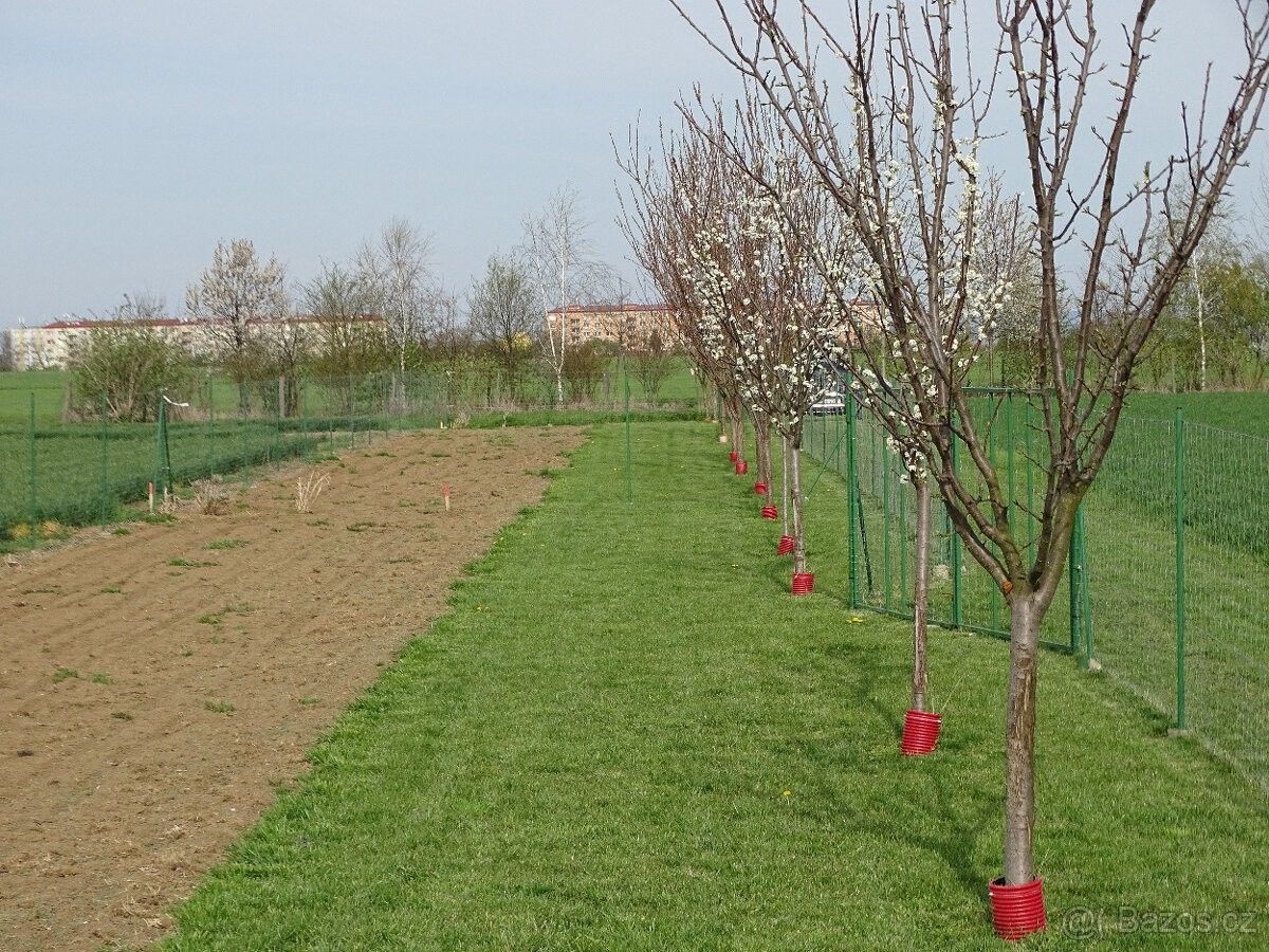 Zahrady, Veselí nad Moravou, 698 01