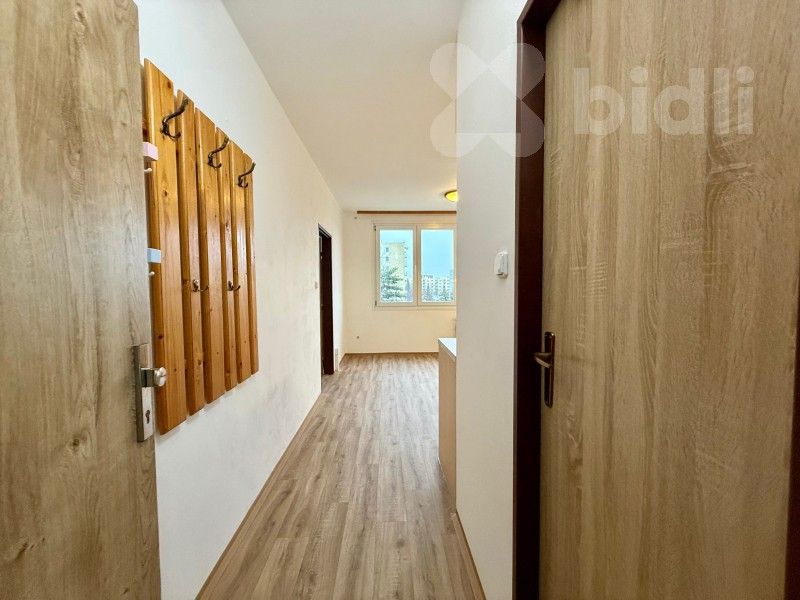 Pronájem byt 2+kk - J. Opletala, České Budějovice, 36 m²