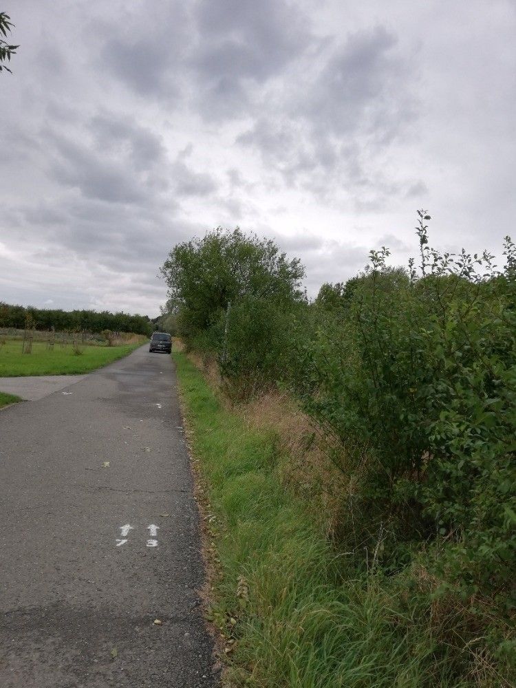 Zahrady, Olomouc, 783 01