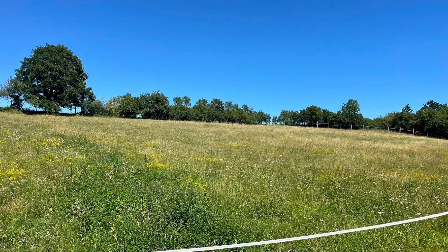 Pozemek, 6 229 m²
