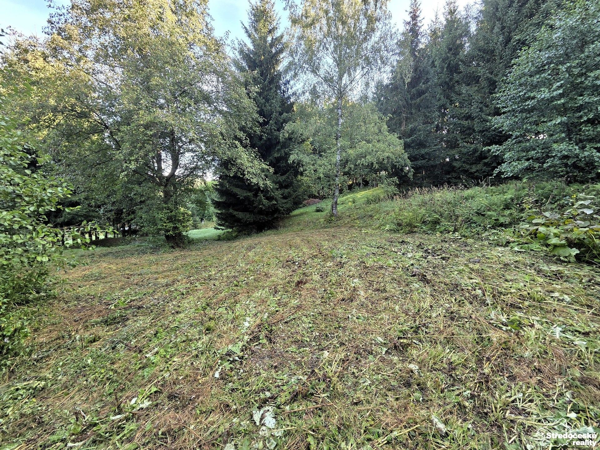 Prodej pozemek pro bydlení - Vysoké nad Jizerou - 5