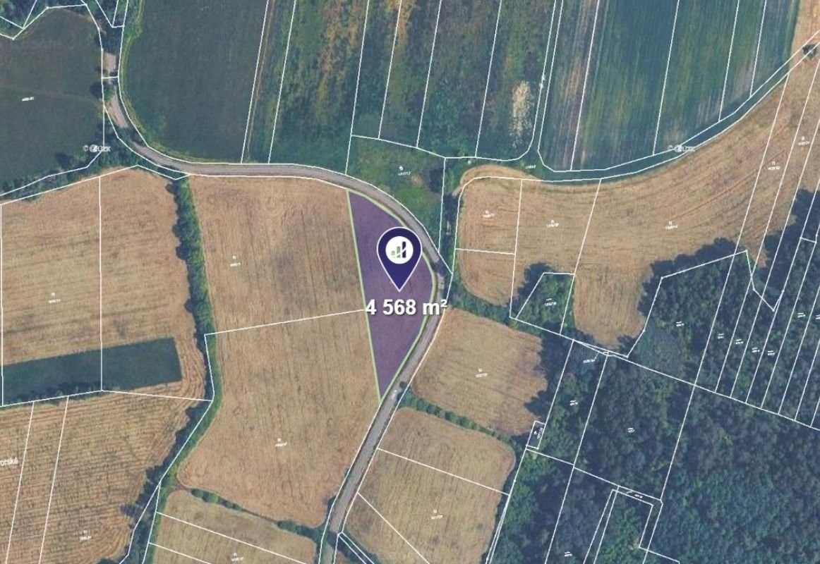 Prodej zemědělský pozemek - Borkovice, 11 988 m²