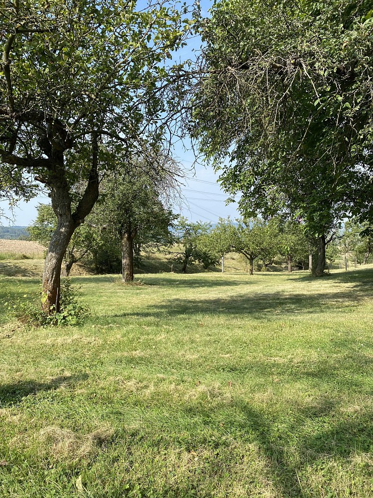 Pozemky pro bydlení, Petrovice, okres Rakovník - 2