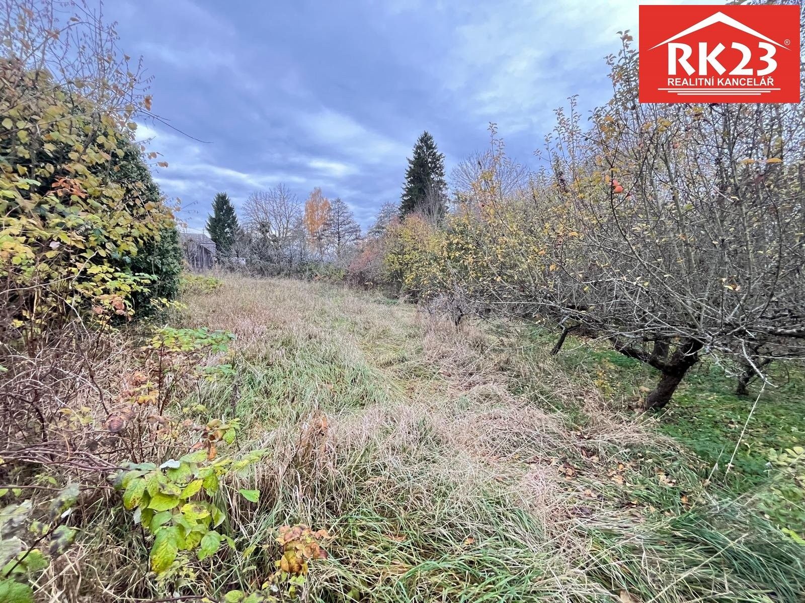 Prodej pozemek pro bydlení - Olešná, Stráž, 994 m²