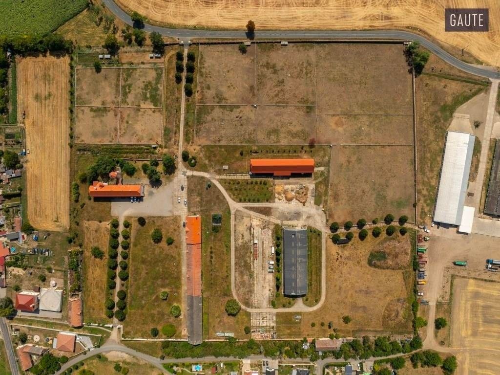 Zemědělská usedlost · 5 889 m² · Vlasatice - 4