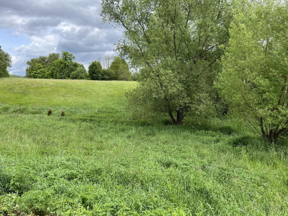 Prodej pozemek pro bydlení - Trutnov, 541 01