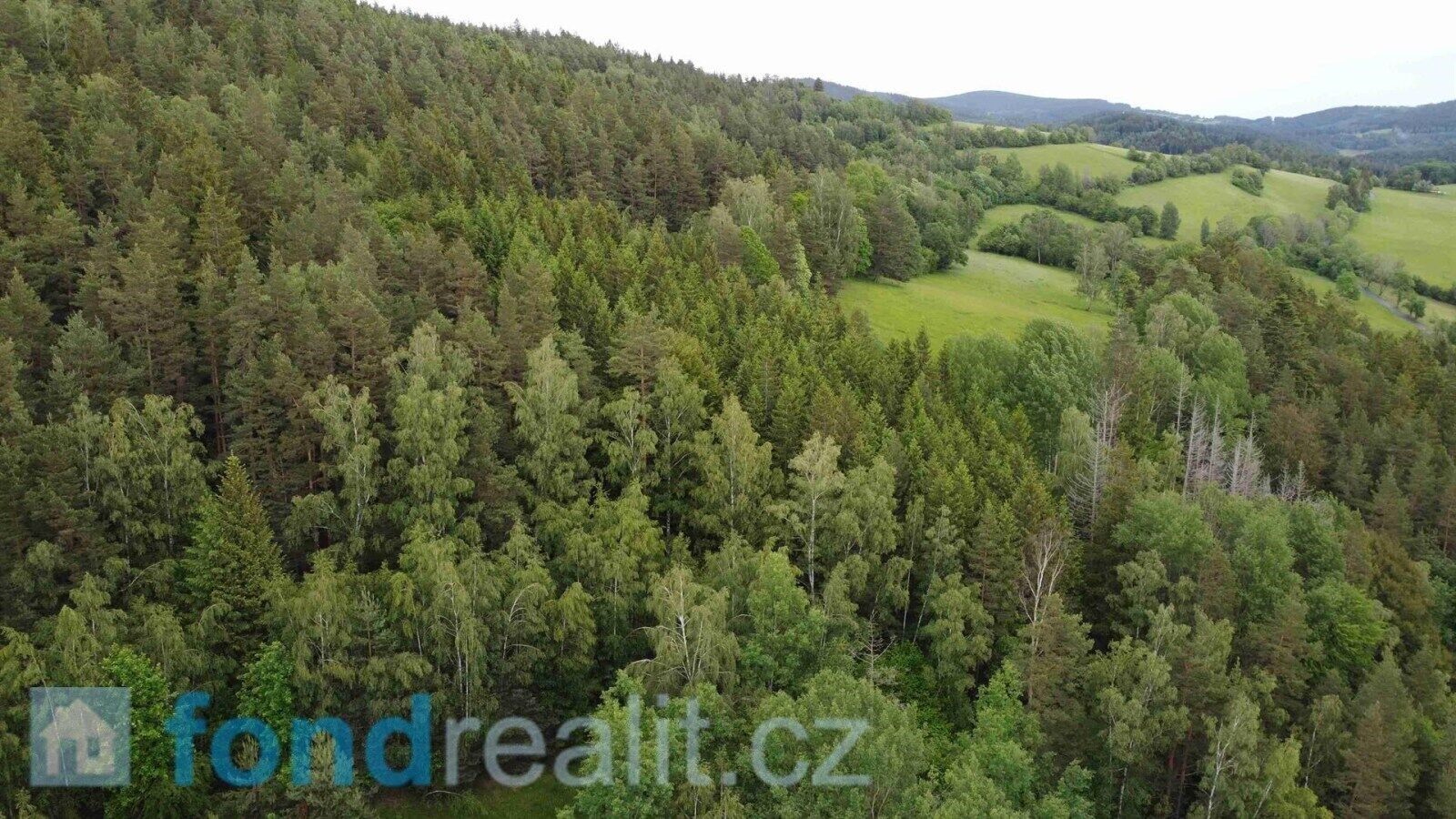 Prodej pozemek - Rejštejn, 5 m²