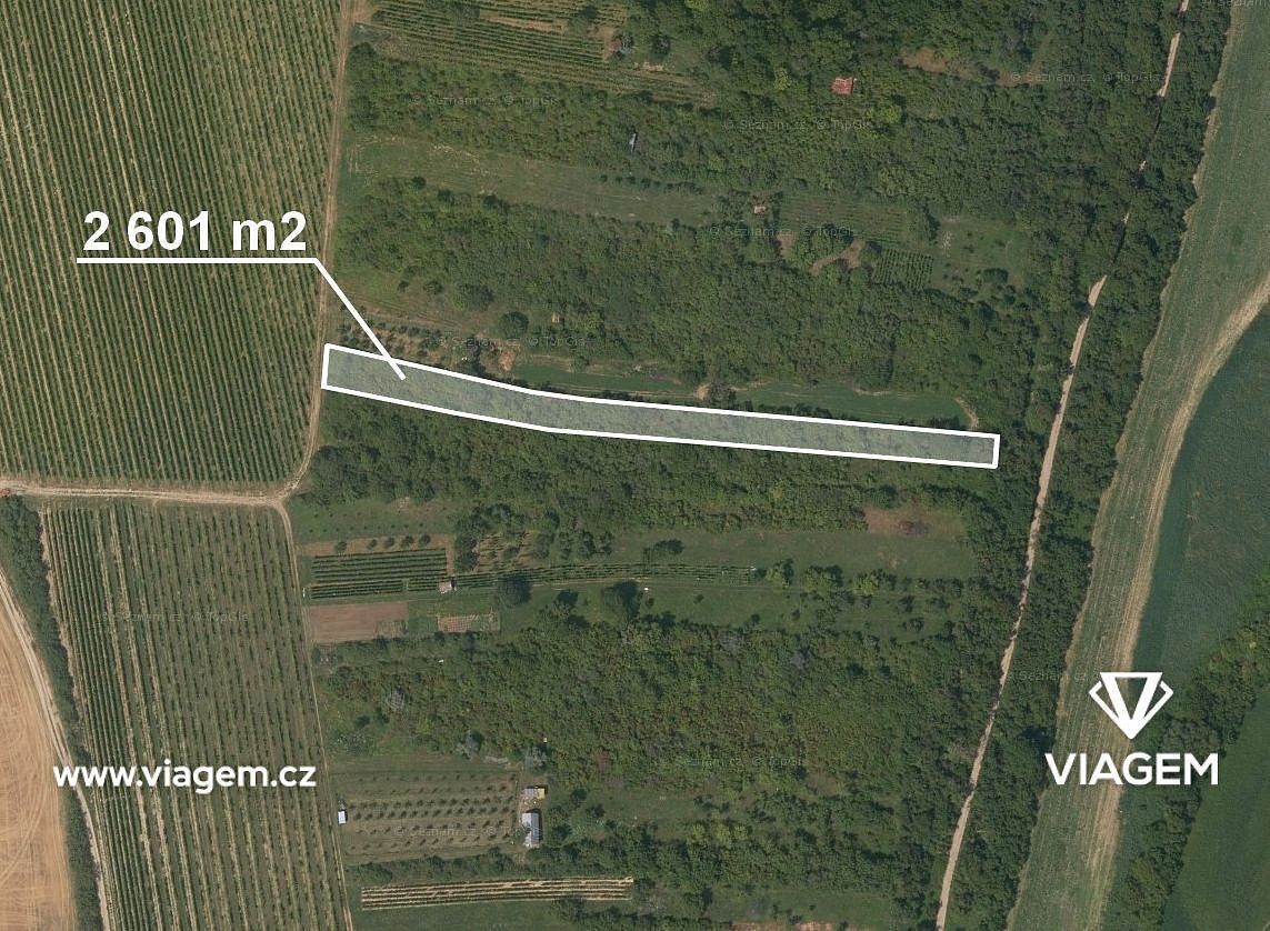 Zahrada · Žarošice, okres Hodonín - 4