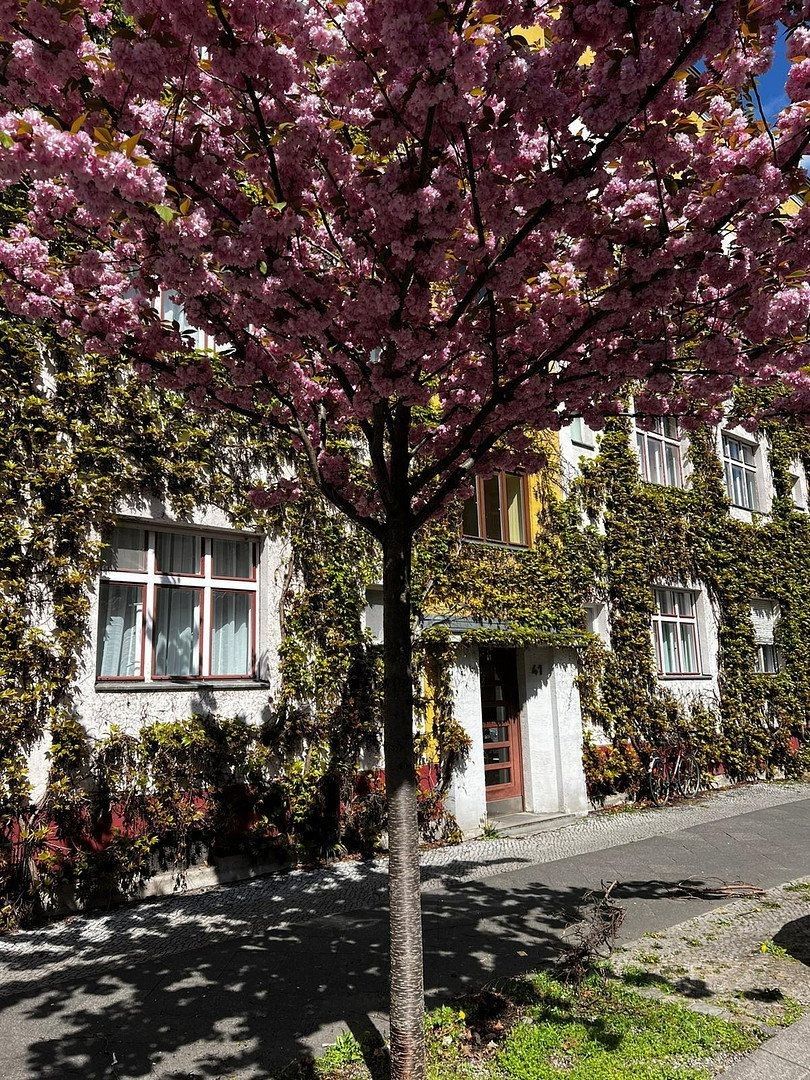 2+1, Berlin Prenzlauer Berg Berlin 10439, 58 m² - 2