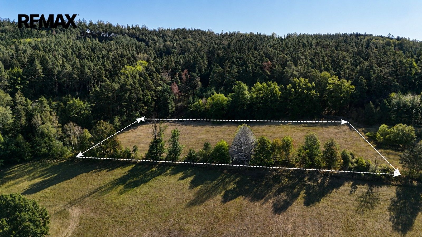 Louky, Mičovice, 5 943 m² - 2