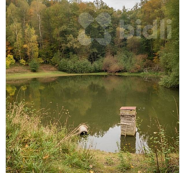 Chalupa · 70 m² · Žlutice, okres Karlovy Vary, Karlovarský kraj - 4