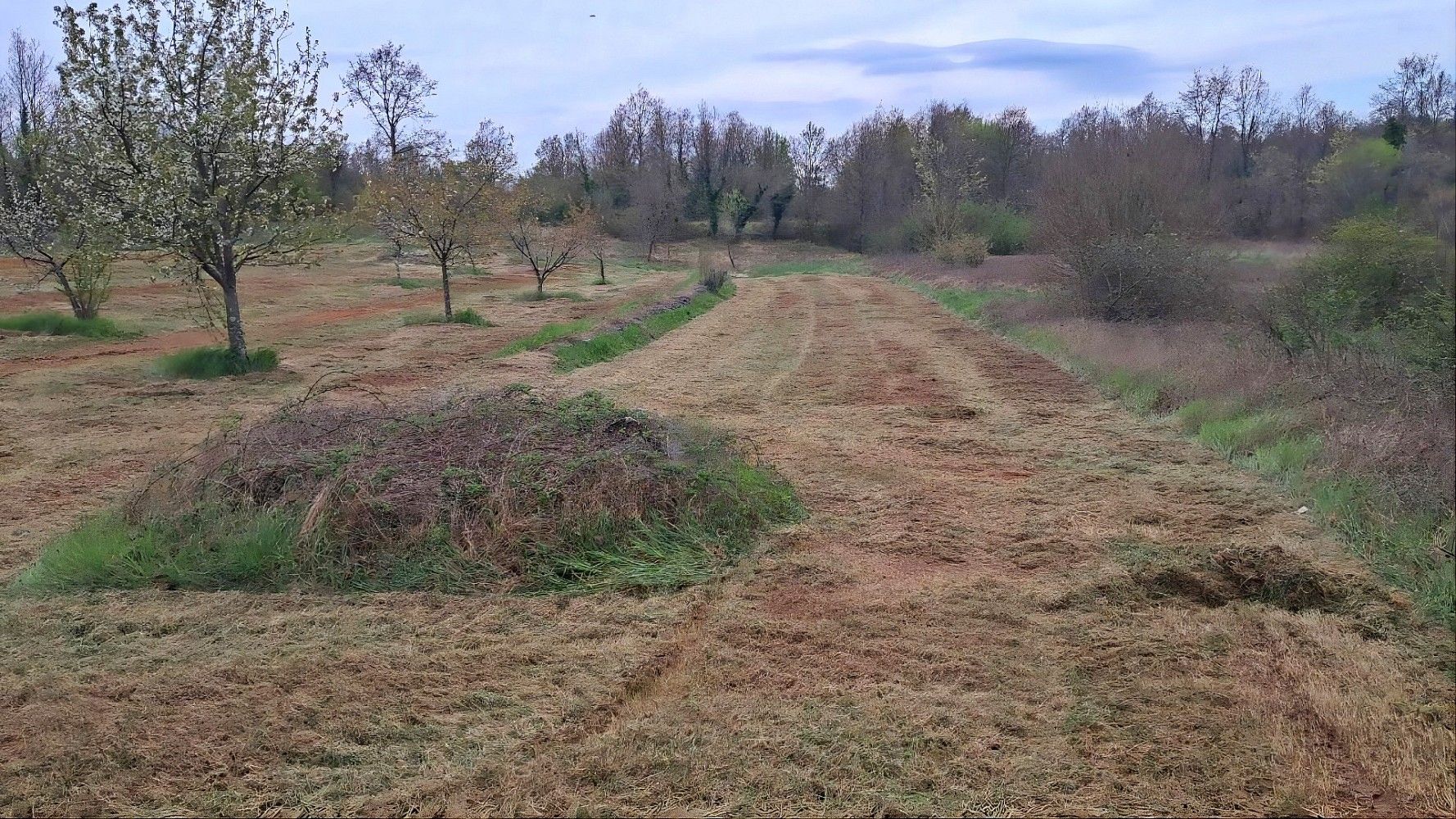 Pozemek pro bydlení, 3 951 m²