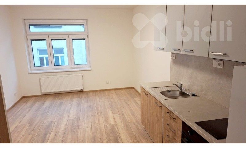 Pronájem byt 1+1 - Štrossova, Pardubice, 32 m²