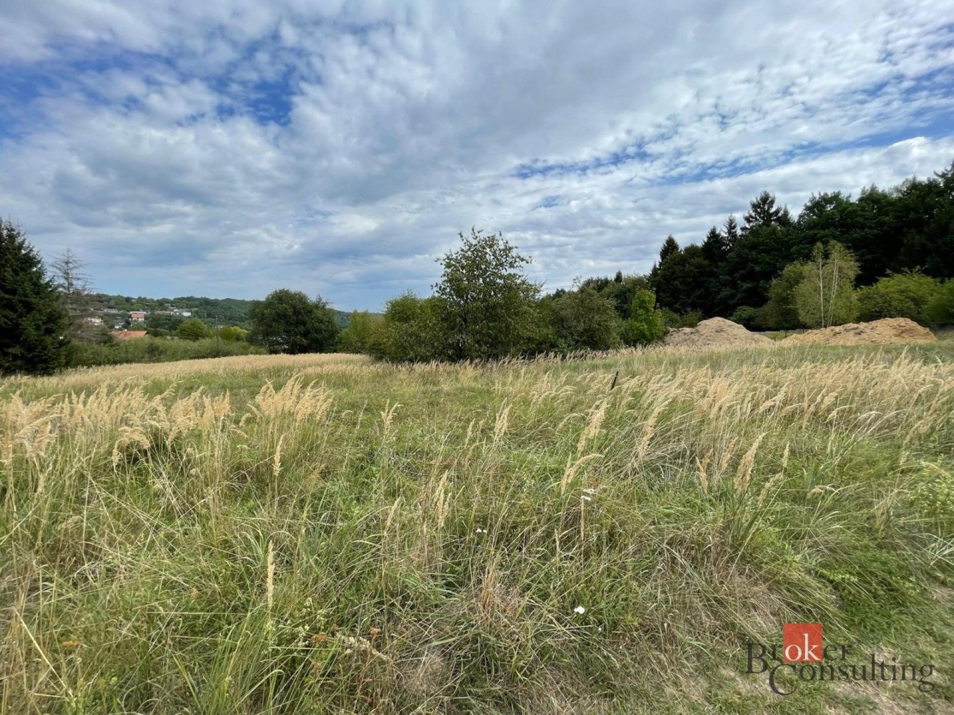 Pozemek pro bydlení · 1 881 m² · Milánovy,Boskovice - 3