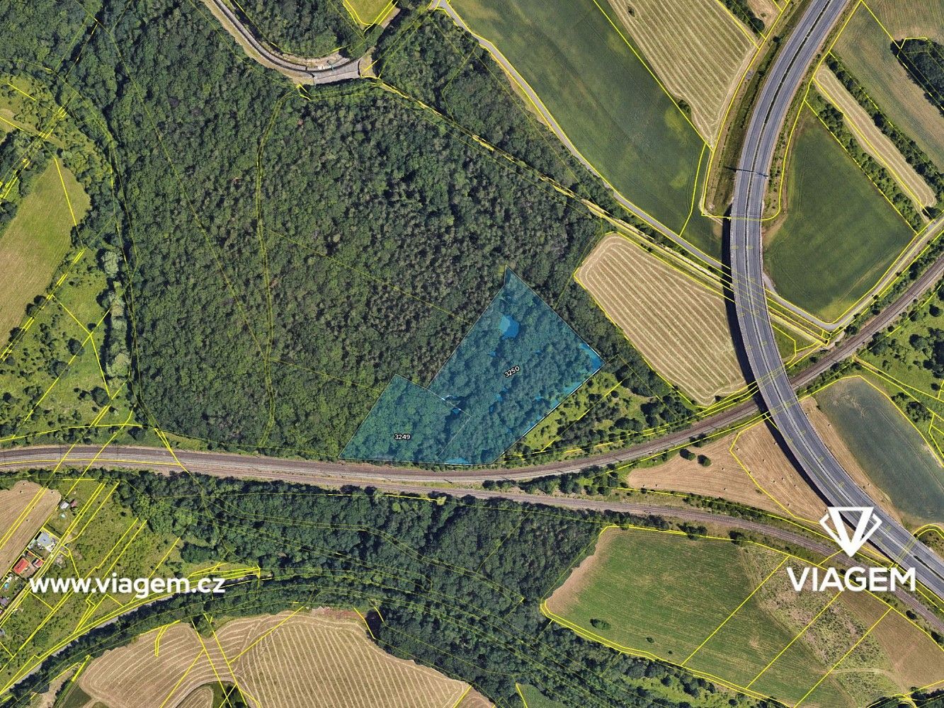 Les · Spořice, okres Chomutov - 4