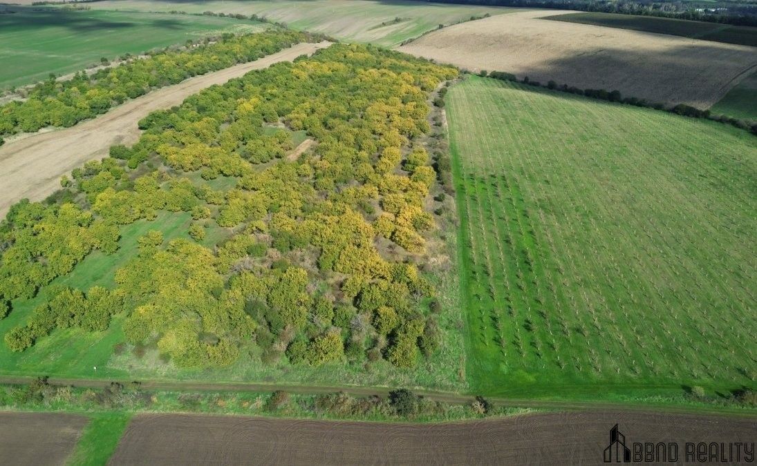 Prodej pozemek - Hustopeče, 14 896 m²