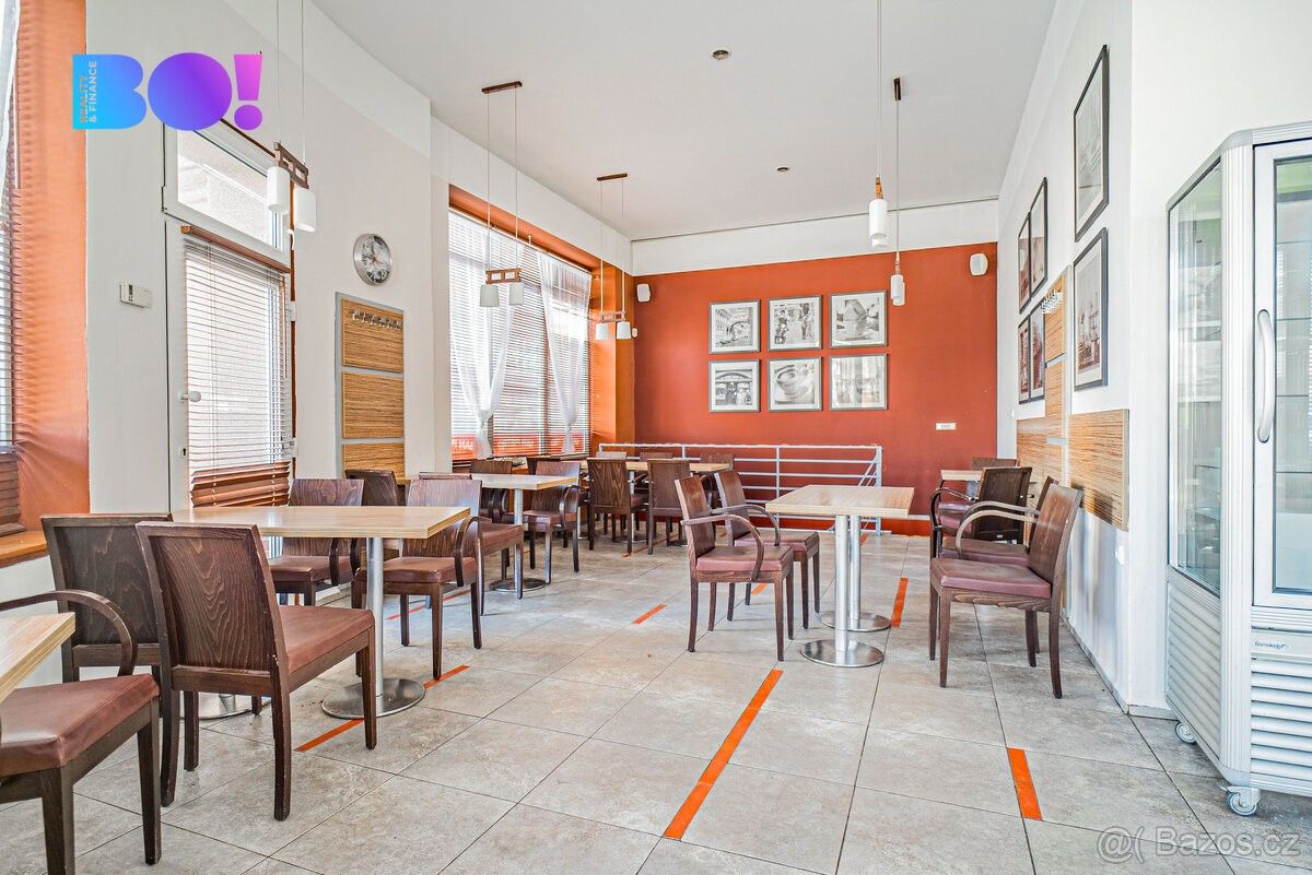 Obchodní prostory, Český Těšín, 737 01