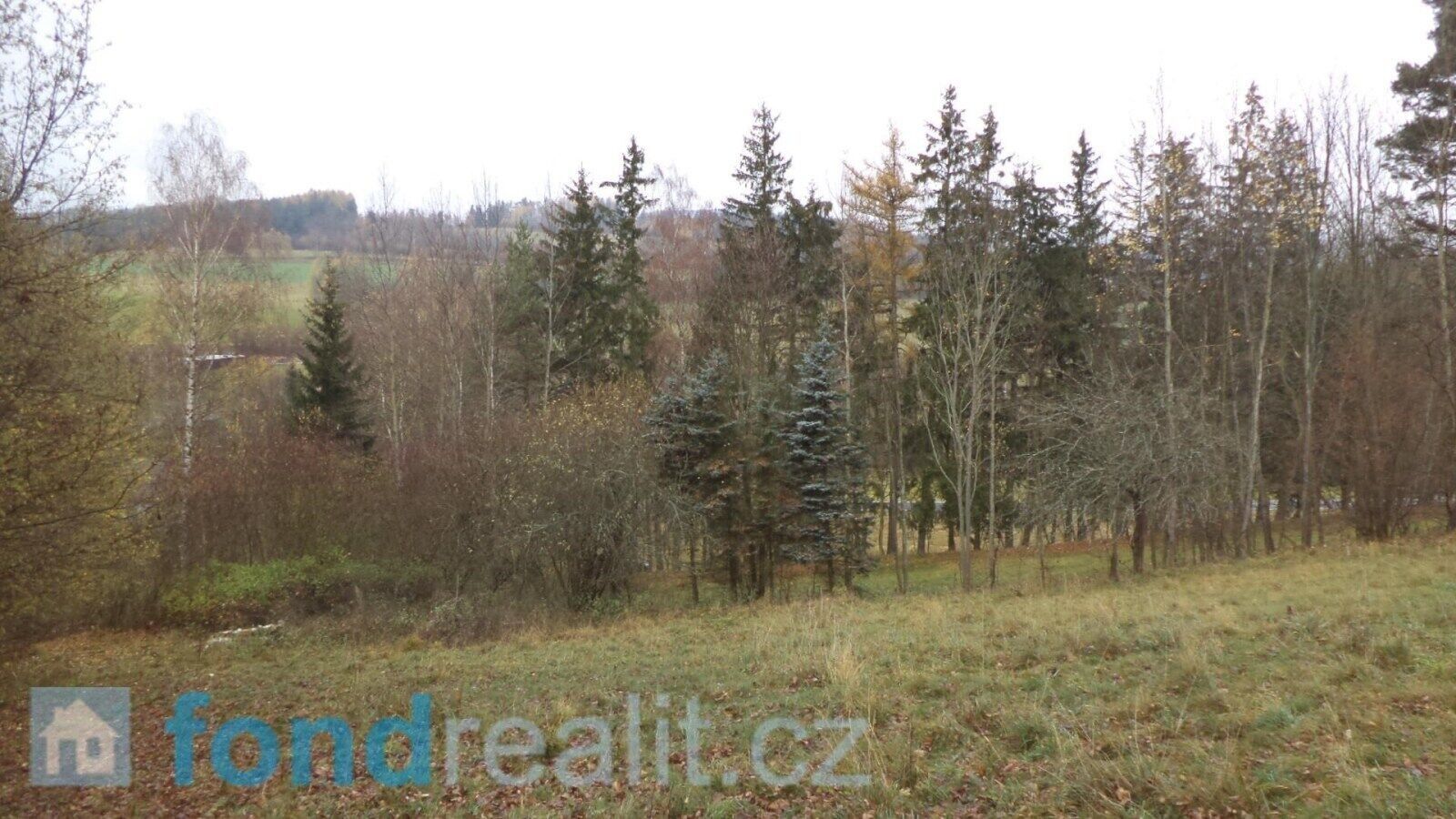 Prodej zemědělský pozemek - Zdíkov Branišov, 10 224 m² - 2