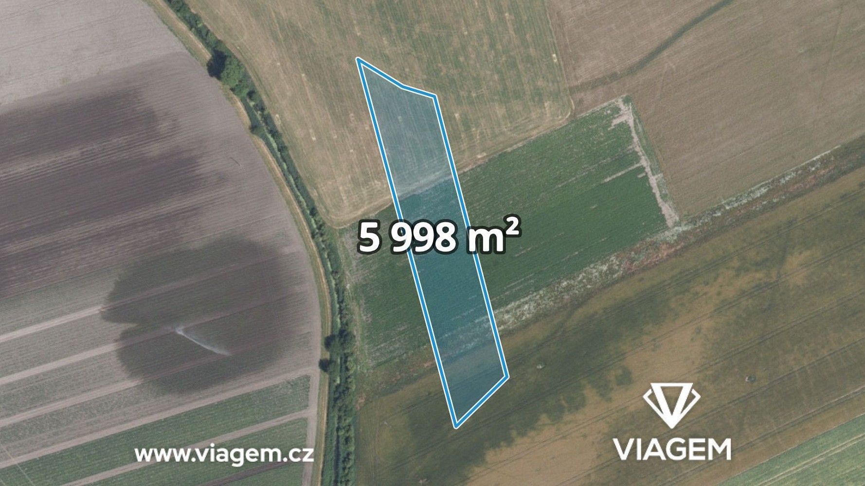 Zemědělský pozemek, 5 998 m²