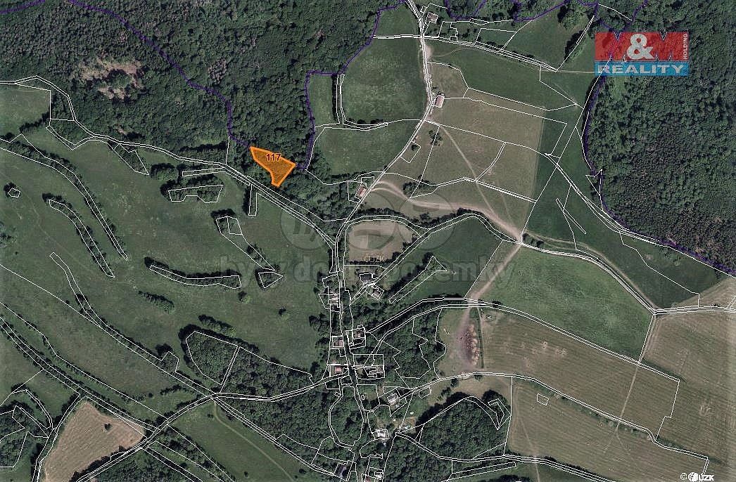 Les · Stvolínky, okres Česká Lípa, Liberecký kraj - 3
