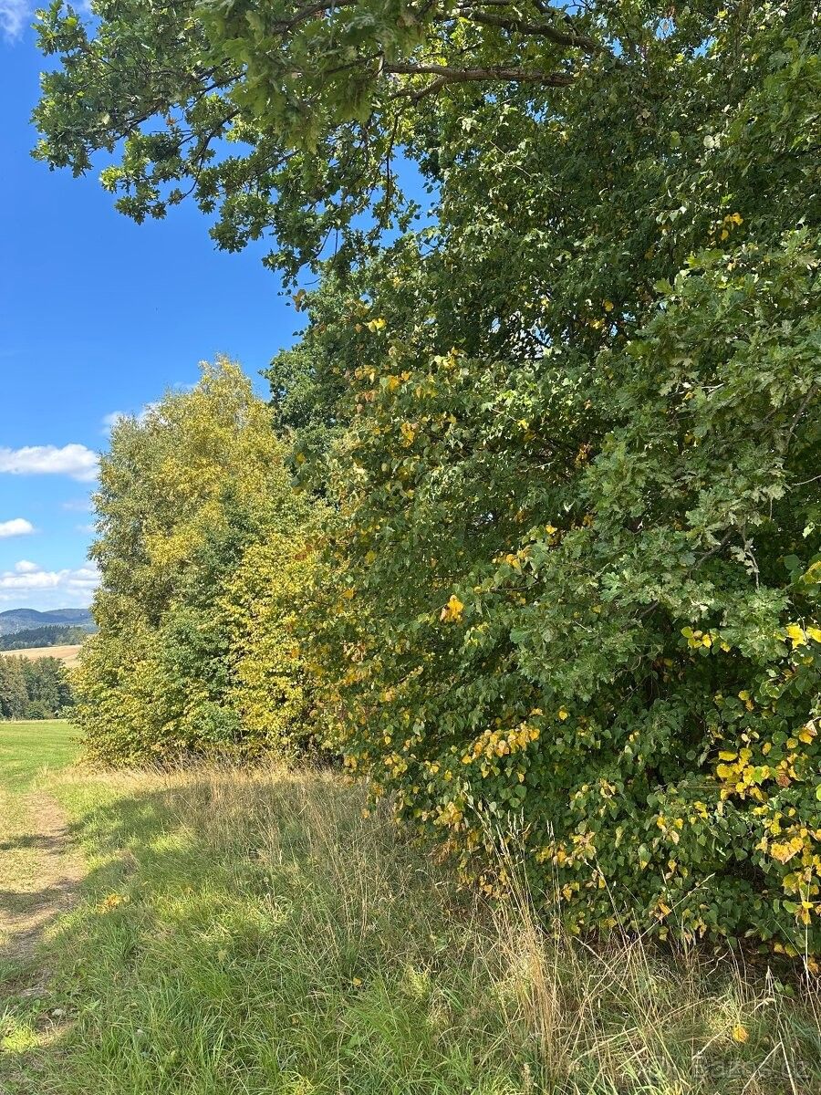 Prodej pozemek pro bydlení - Broumov, 550 01