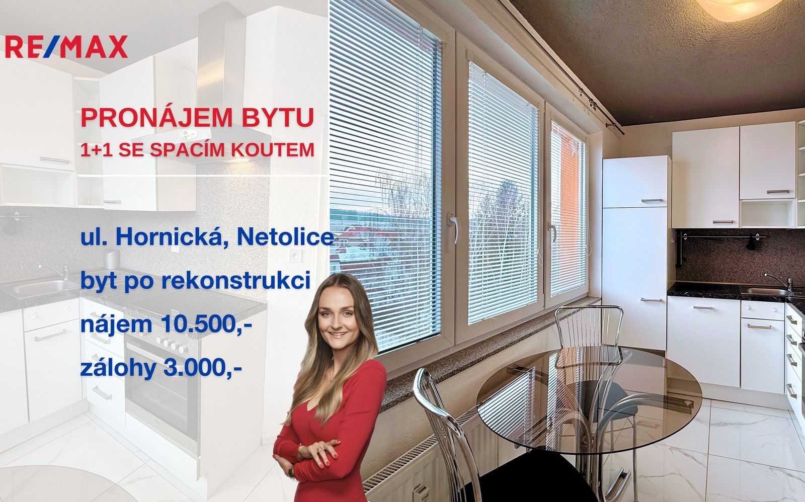 1+1, Hornická, Netolice, 45 m²