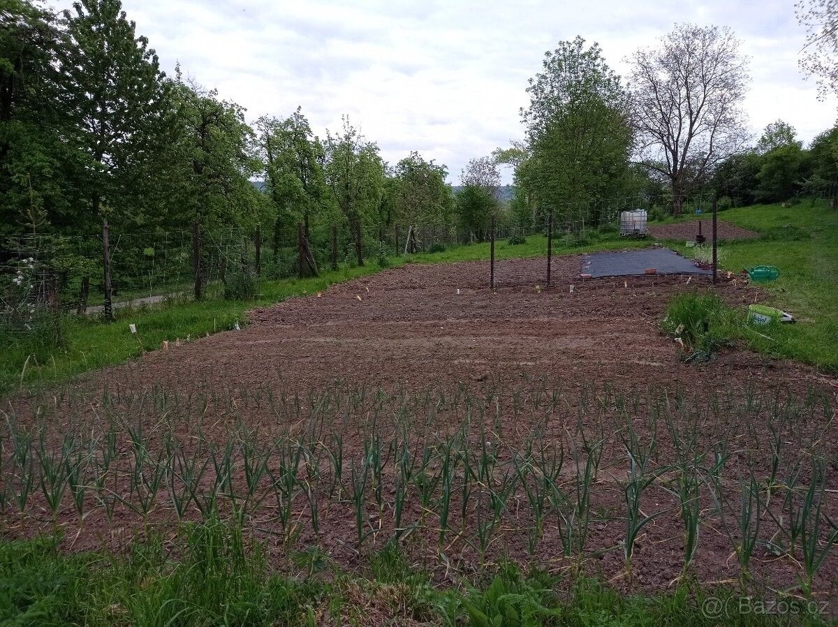 Prodej zahrada - Čáslav, 286 01