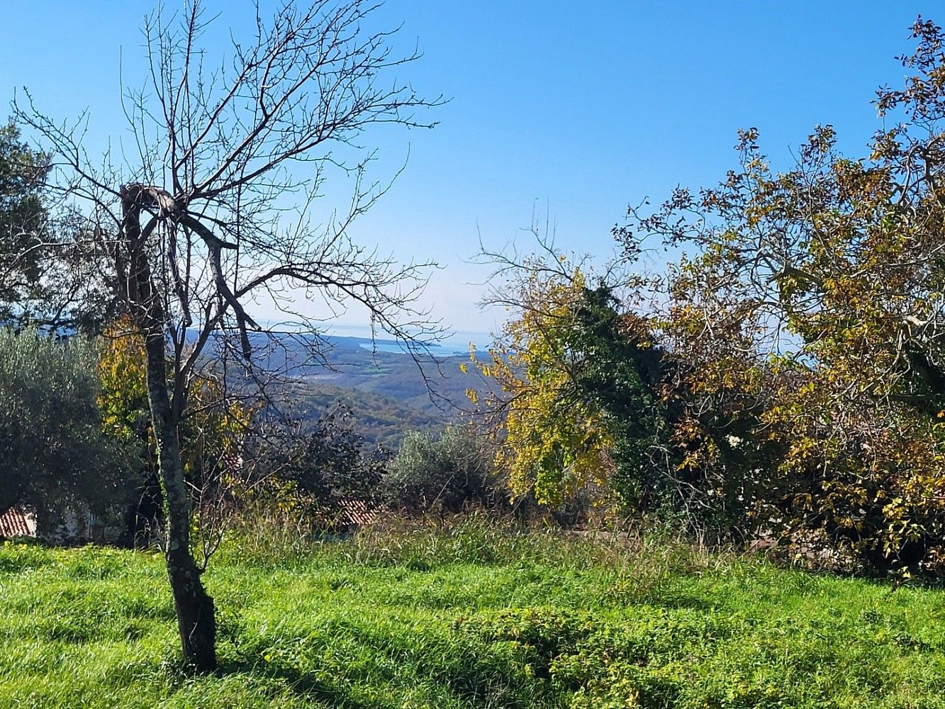 Pozemek pro bydlení · Grožnjan, HR - 3