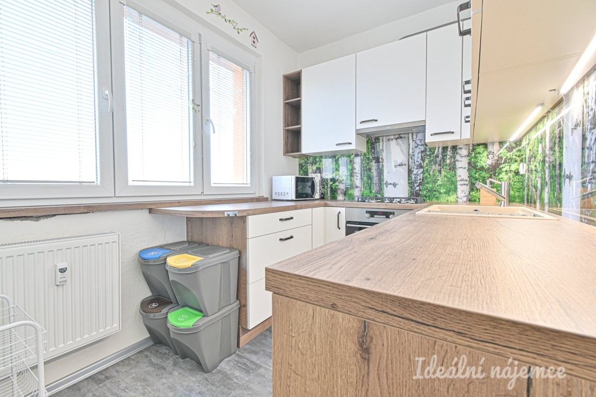 Pronájem byt 3+1 - Vysoká, Brno, 58 m²