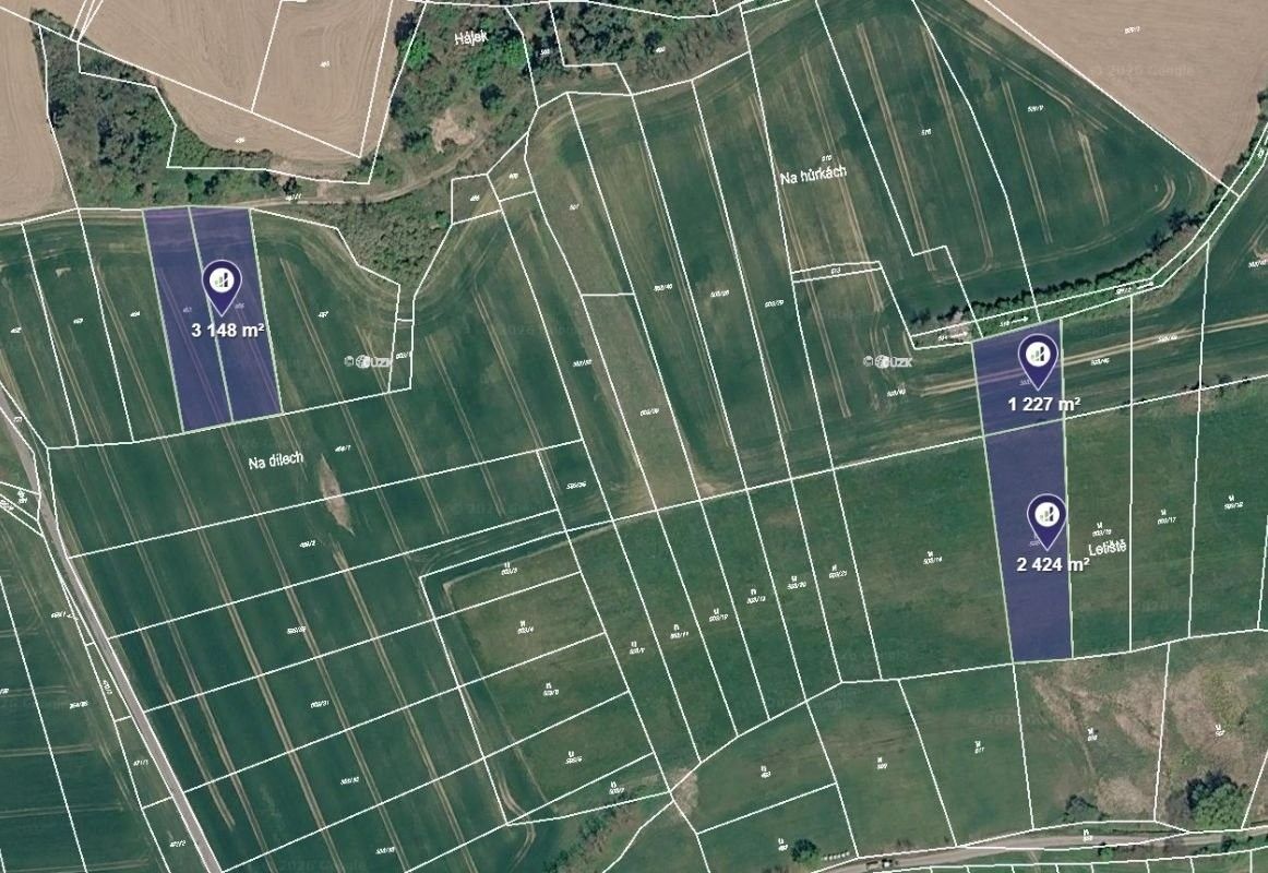 Prodej zemědělský pozemek - Tojice, 12 944 m² - 2