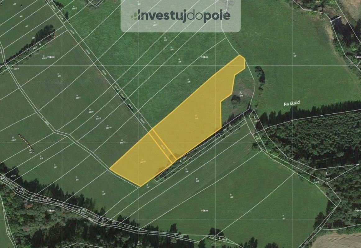 Prodej louka - Švihov, 340 12, 9 260 m²